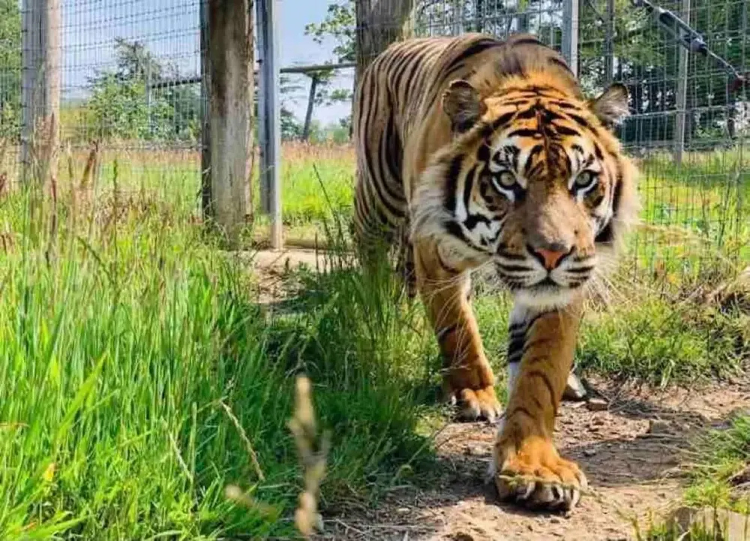 The Chapel 3 Minute Drive to Saundersfoot, Wales