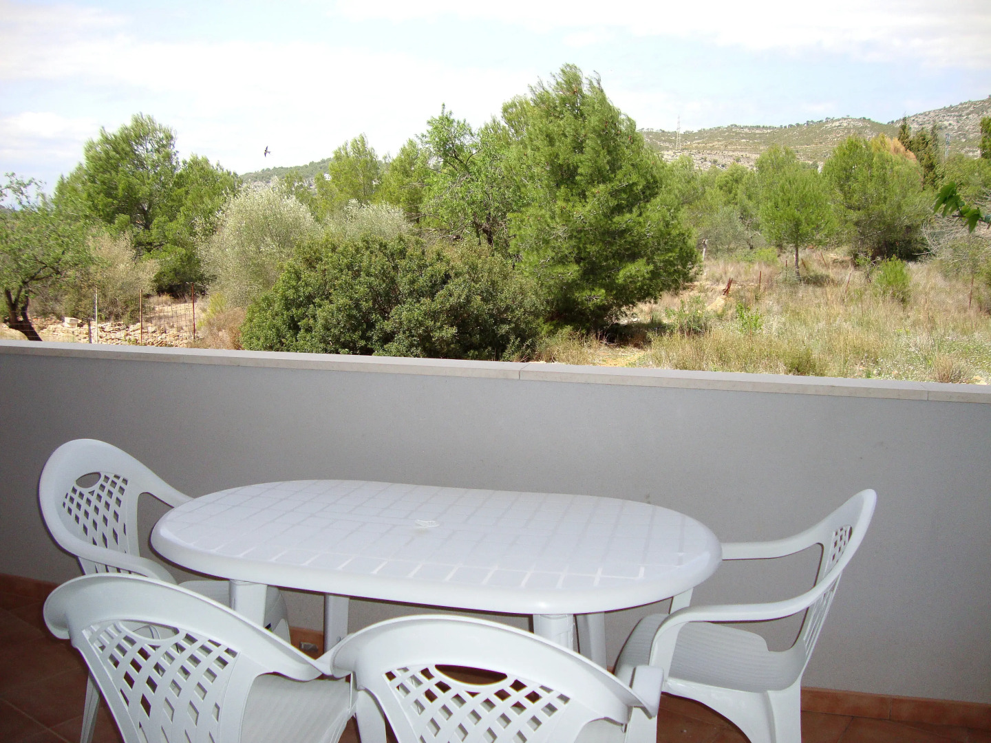 Apartamentos Neptuno 3000