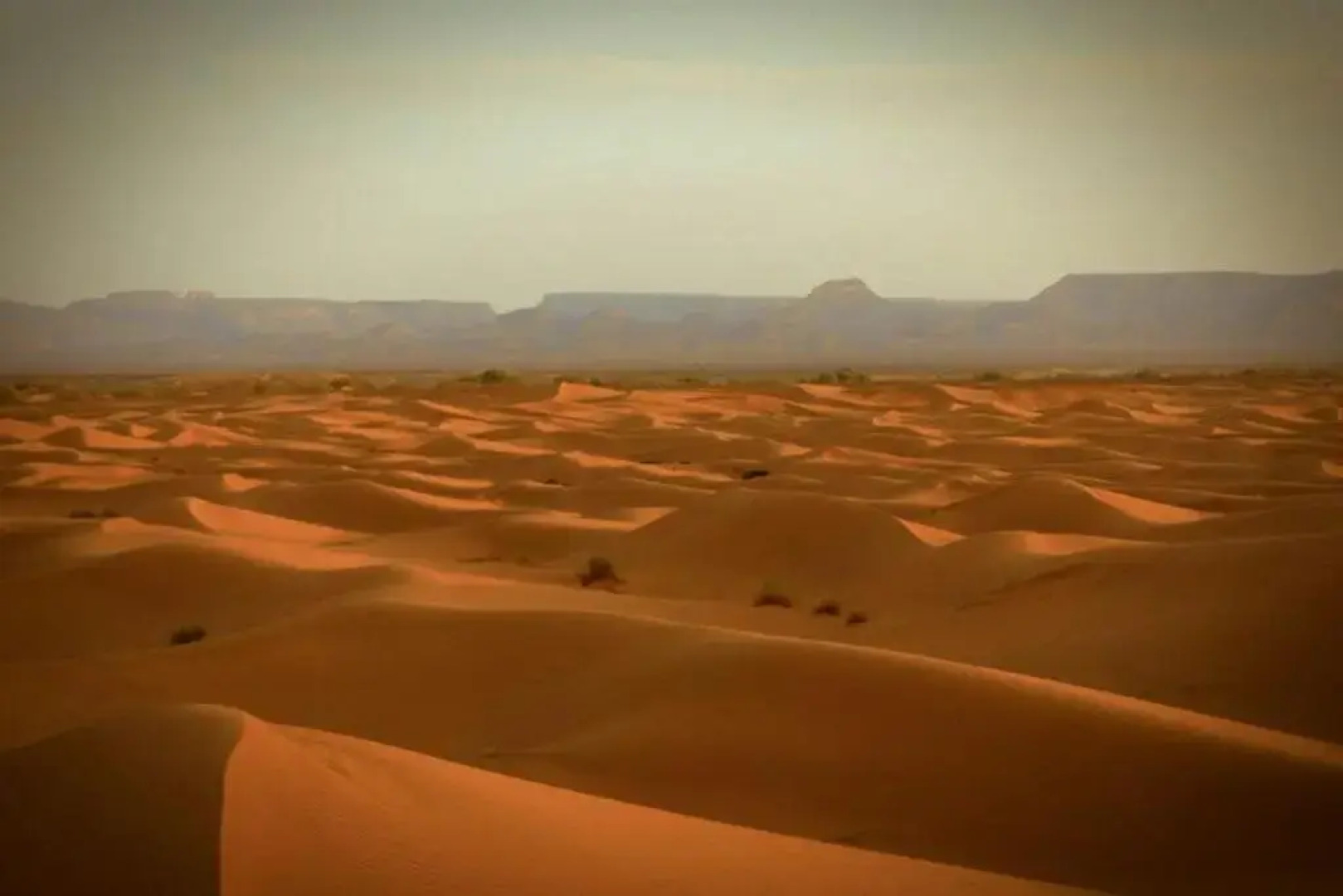 Bivouac de Luxe Le Pacha