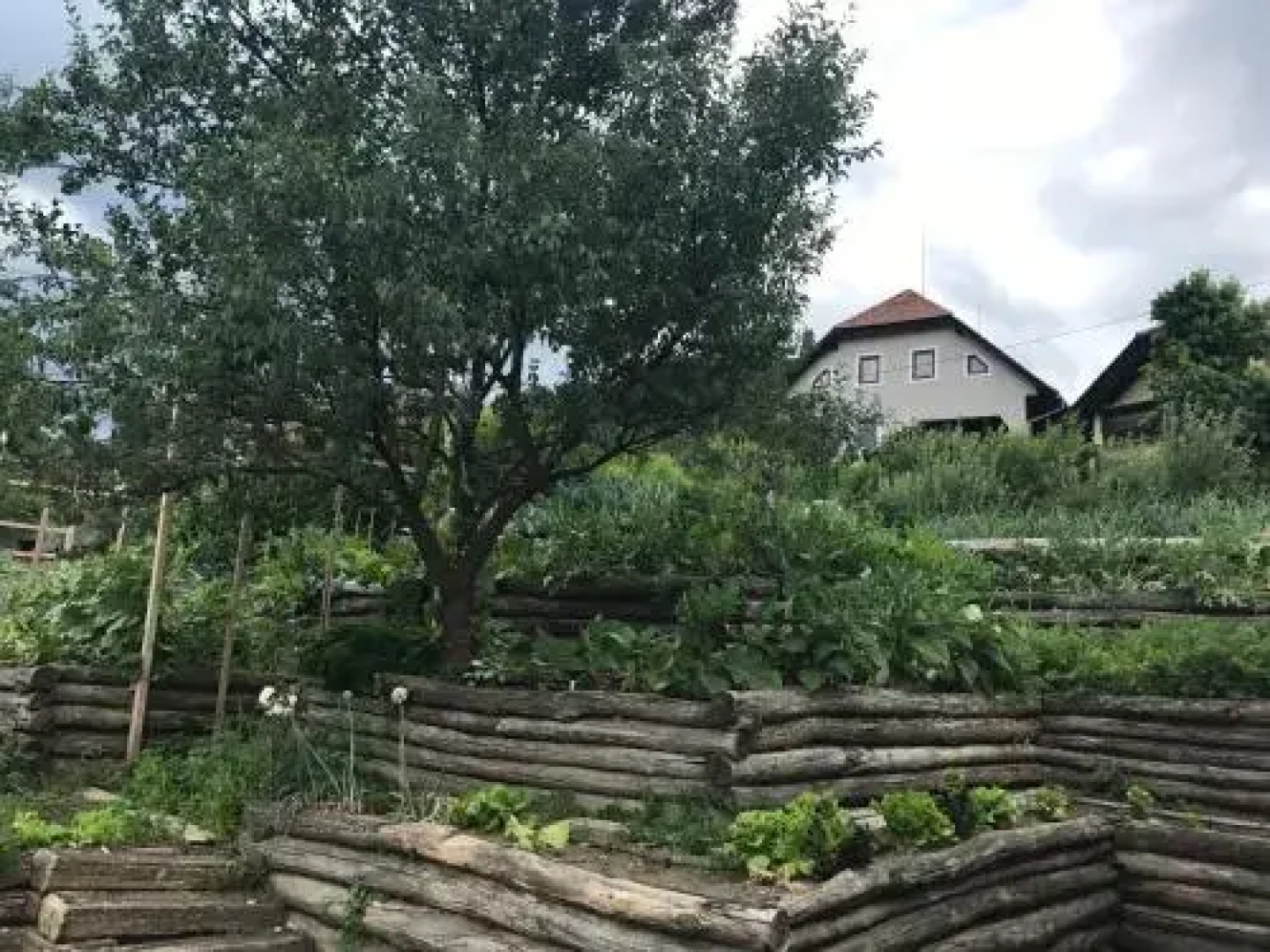Glamping Lasko