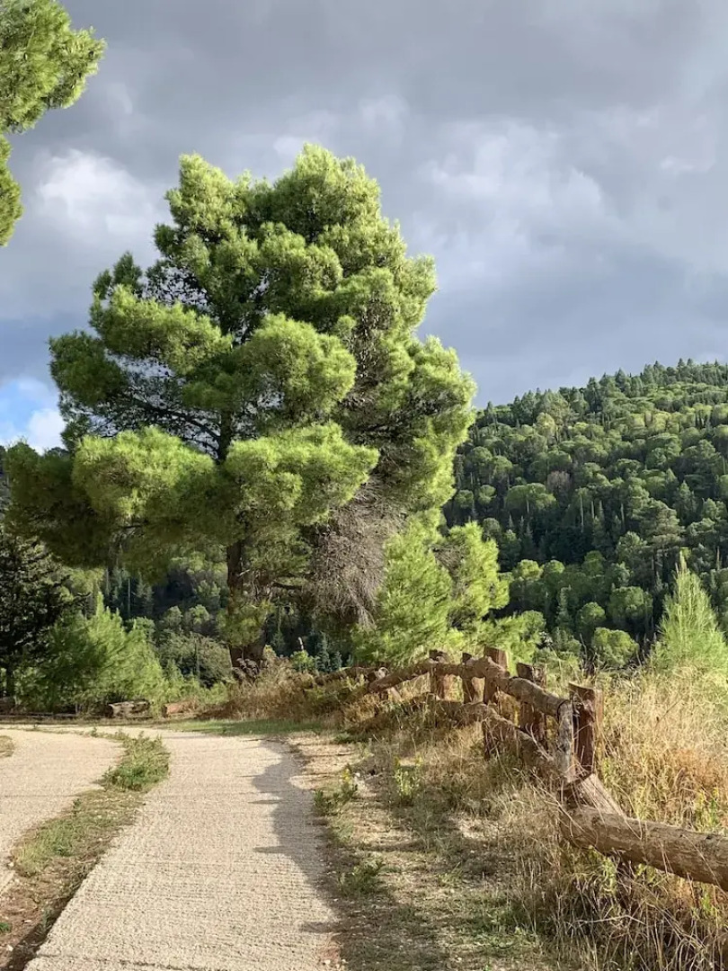 Villa Santa Margherita