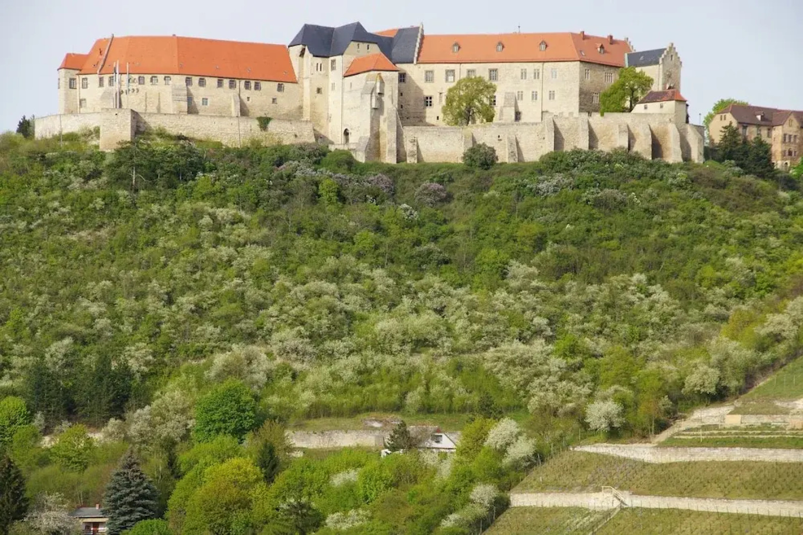 Warias Hotel & Restaurant