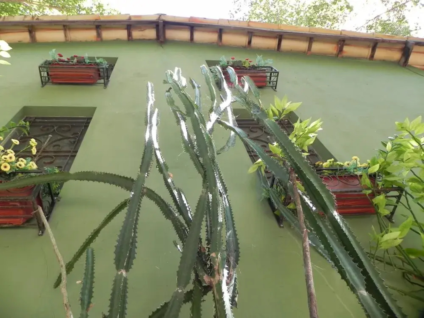 Pousada Éden Águas Termais