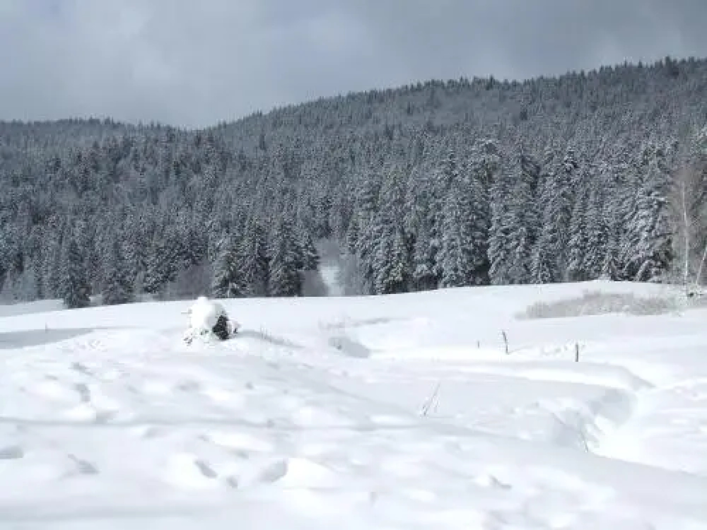 Auberge Des Hauts Viaux