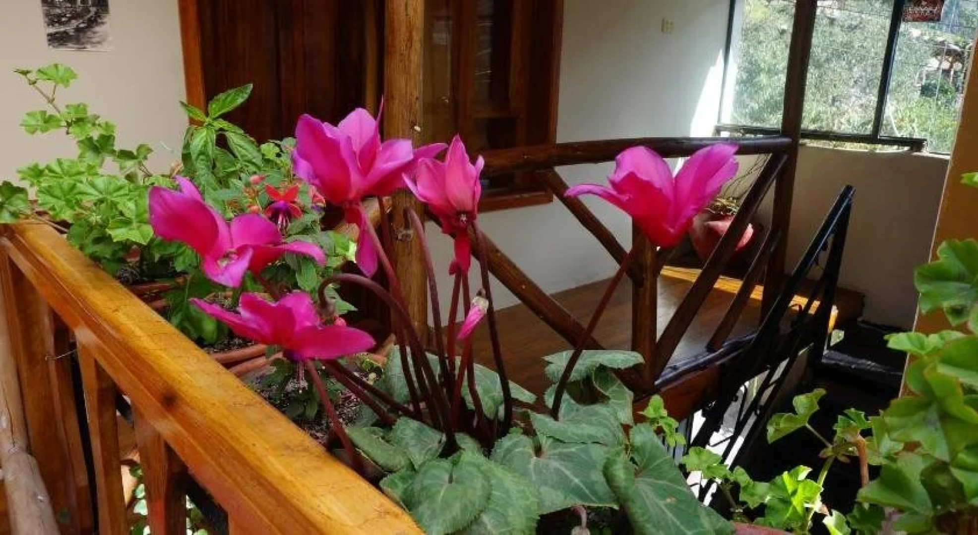 Ollantaytampu Hostel