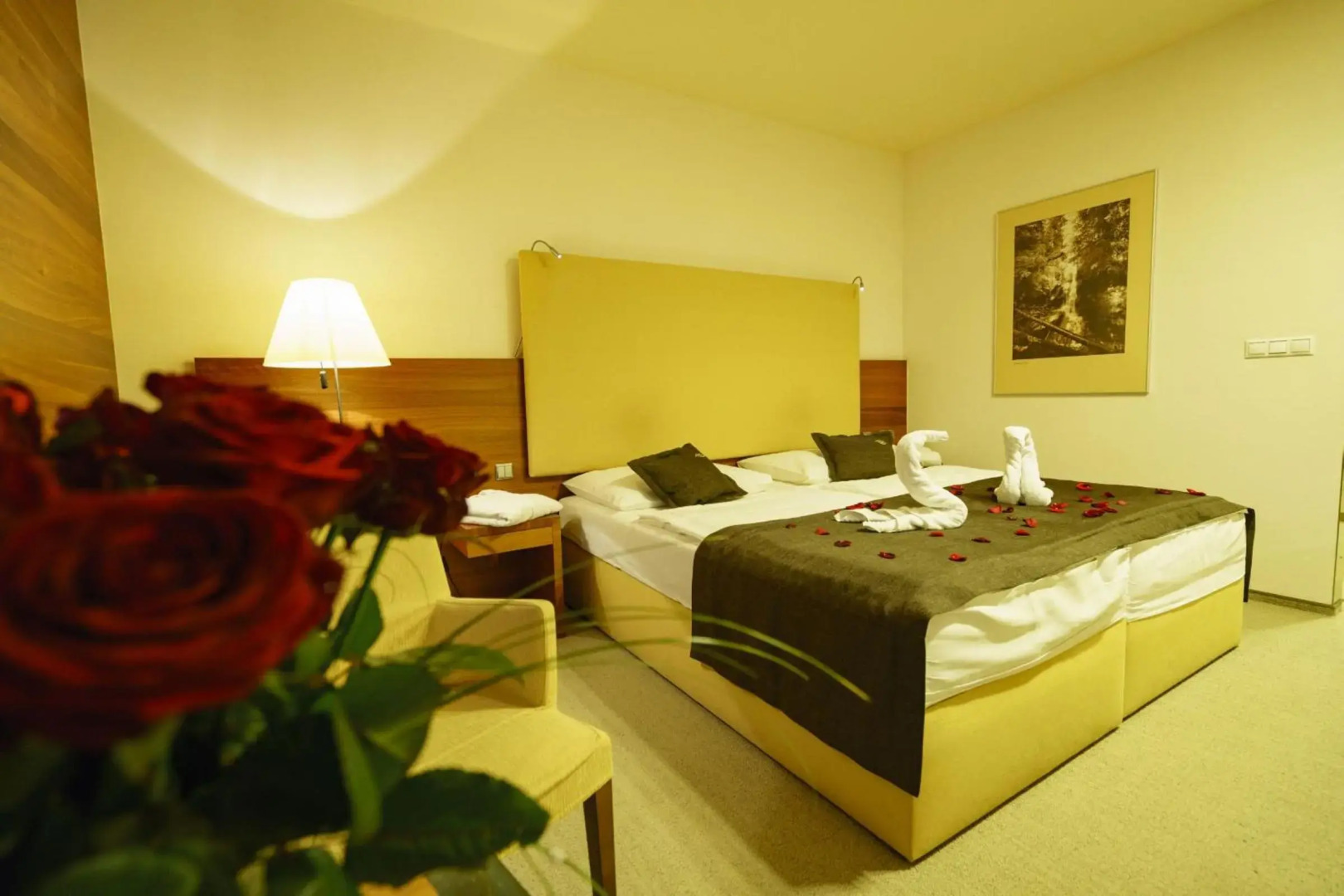 Hotel AquaCity Mountain View