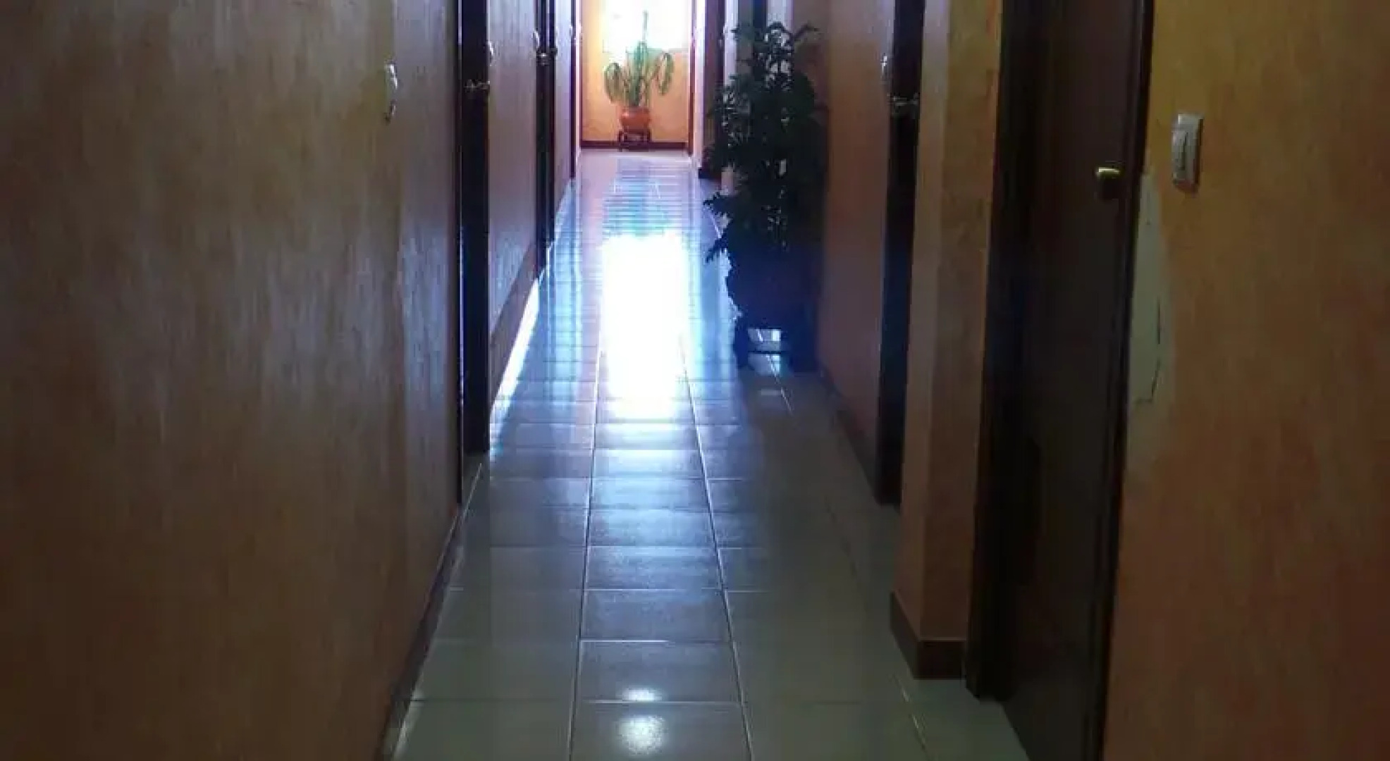 Hostal El Chiringuito