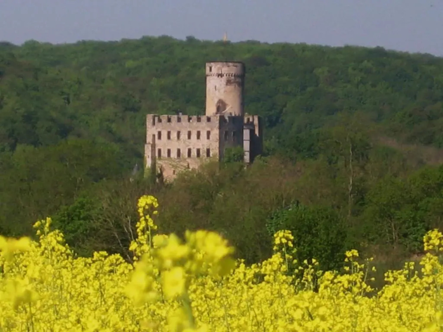 Ferienwohnung zur Burg Eltz