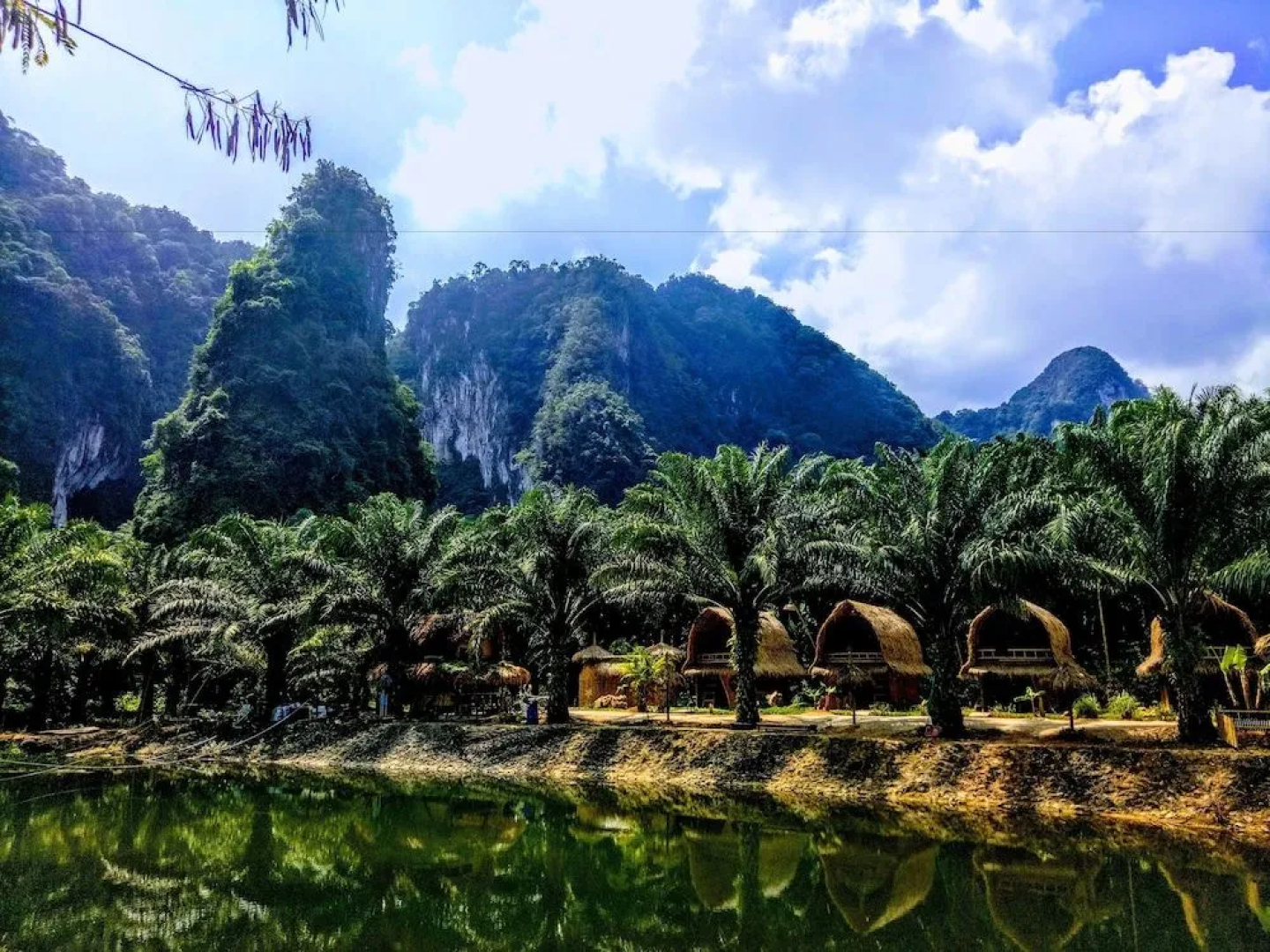 Aoluek Paradise