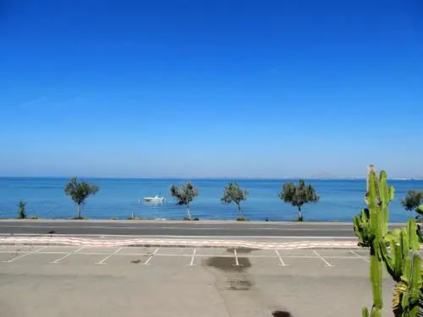 Spanish Connection - Libertad 2 Playas