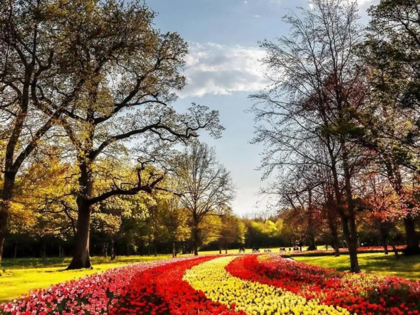 Gîte Mur-de-Sologne, 4 pièces, 6 personnes - FR-1-491-296