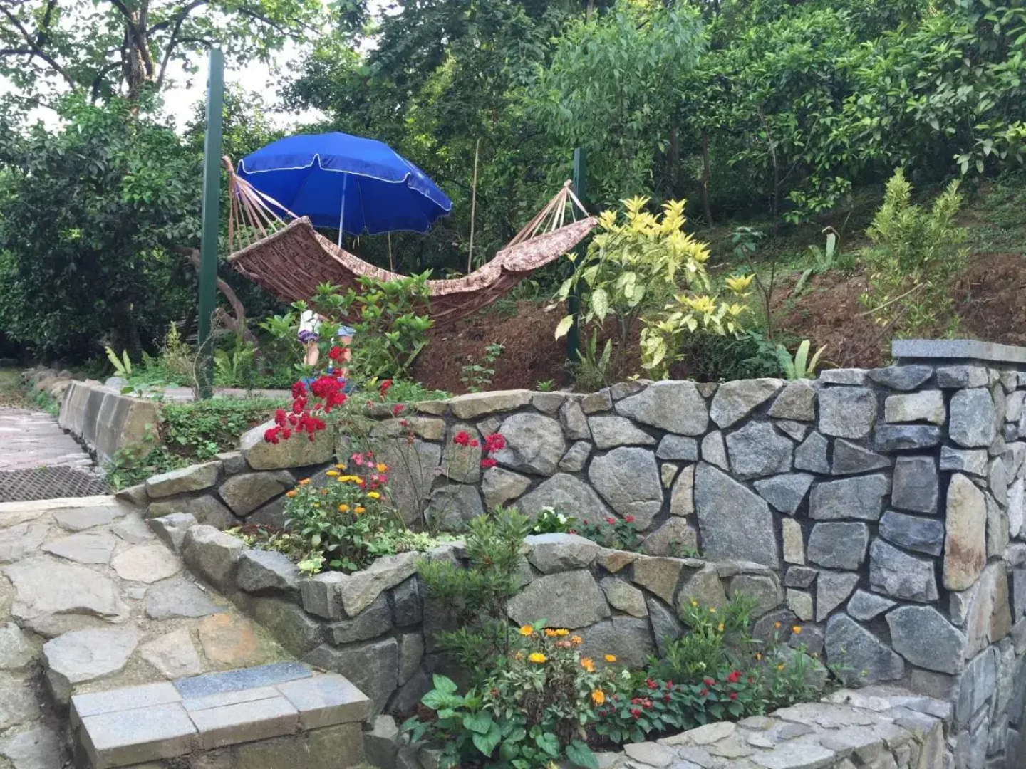 Lasha Guest House