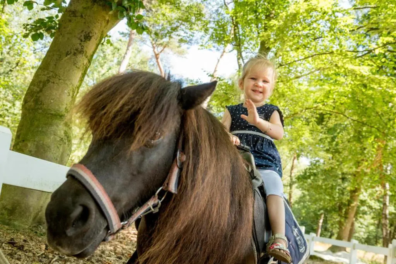 Vakantiepark de Bergen