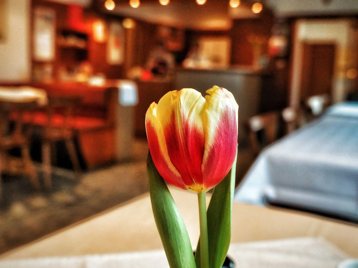 Hotel Gasthof Rosenwirt