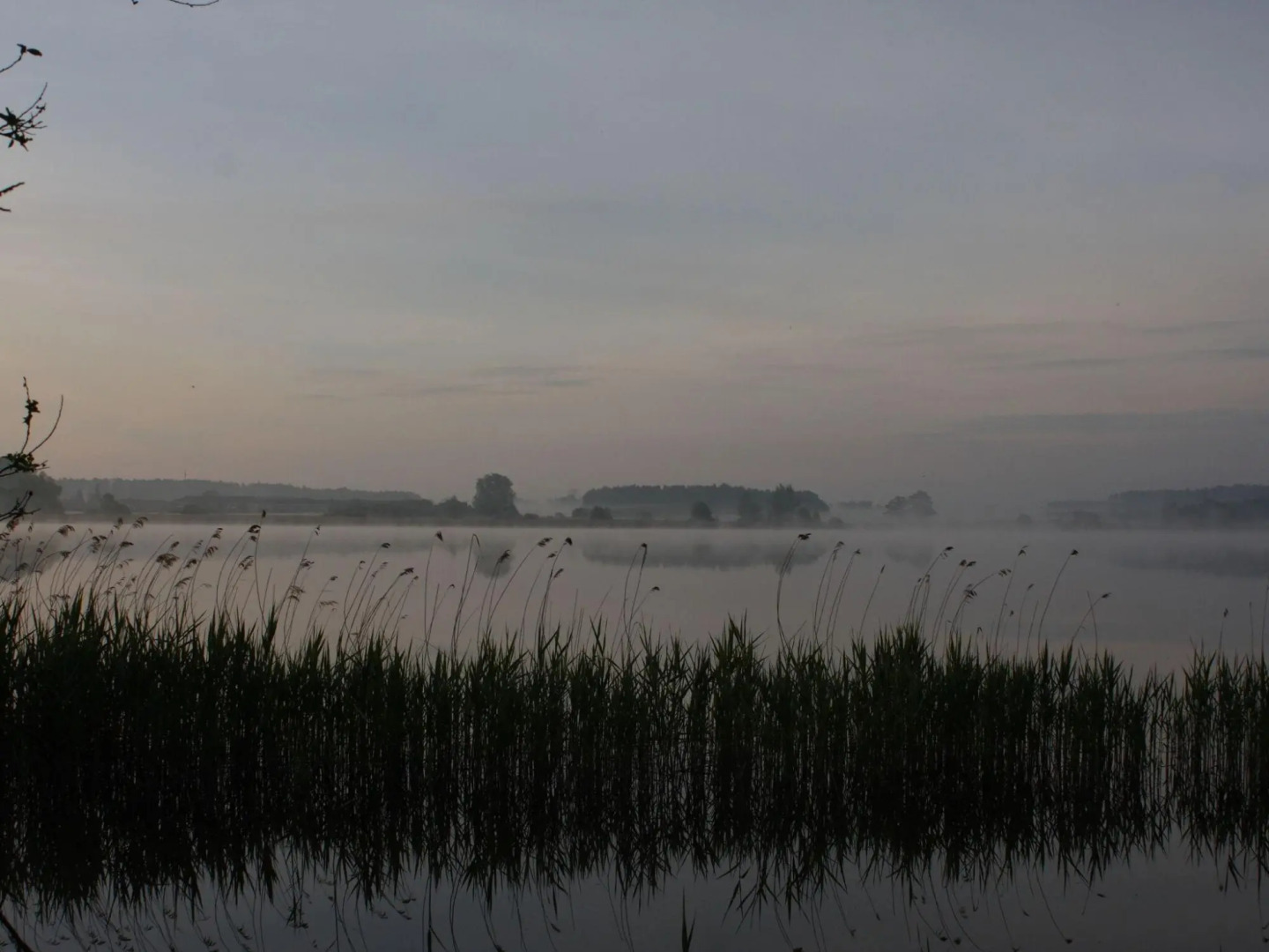 Terraced House, Lohmen