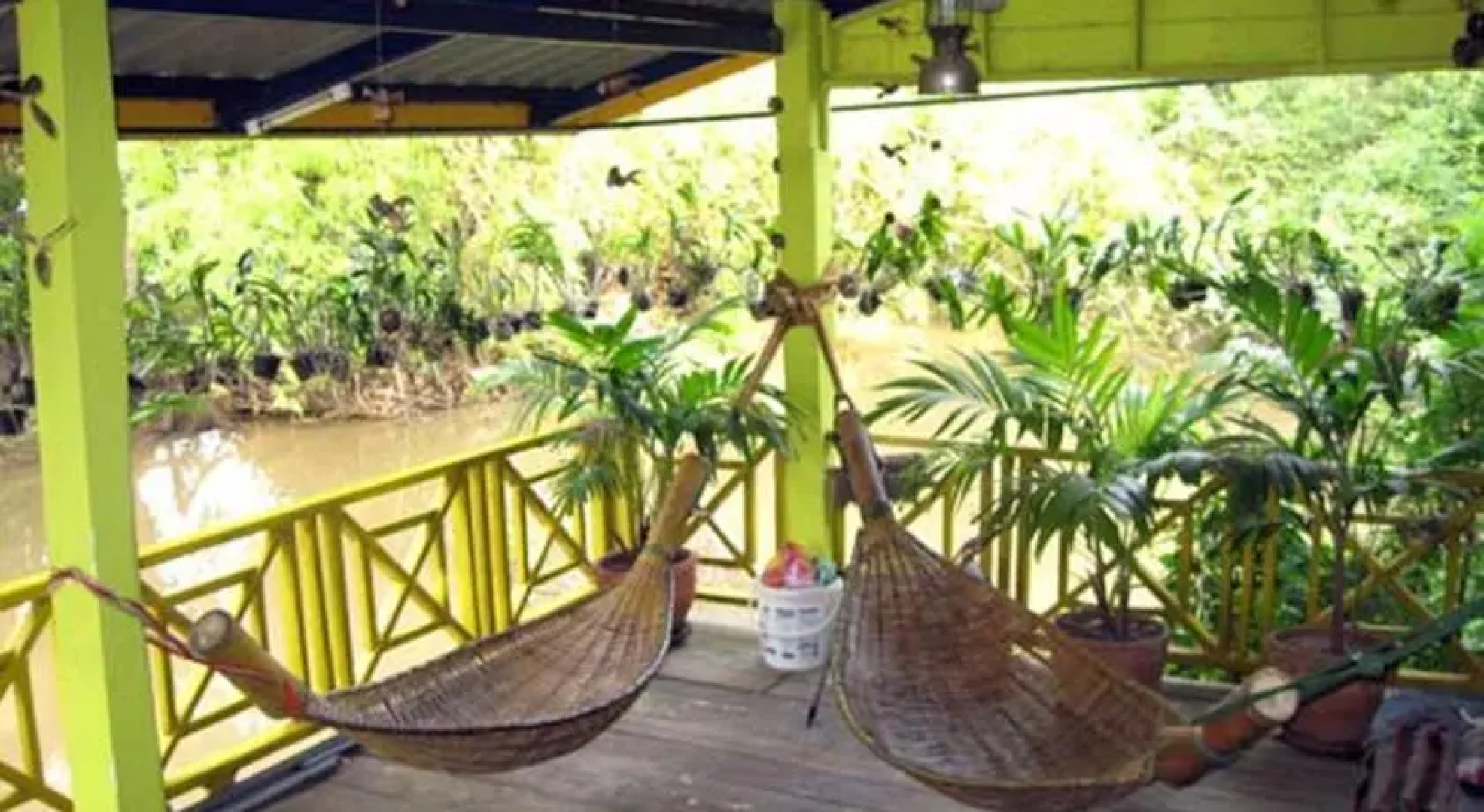 Pinpao Guest House