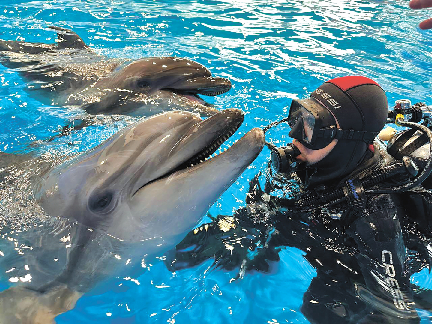 Океан (Владивосток)