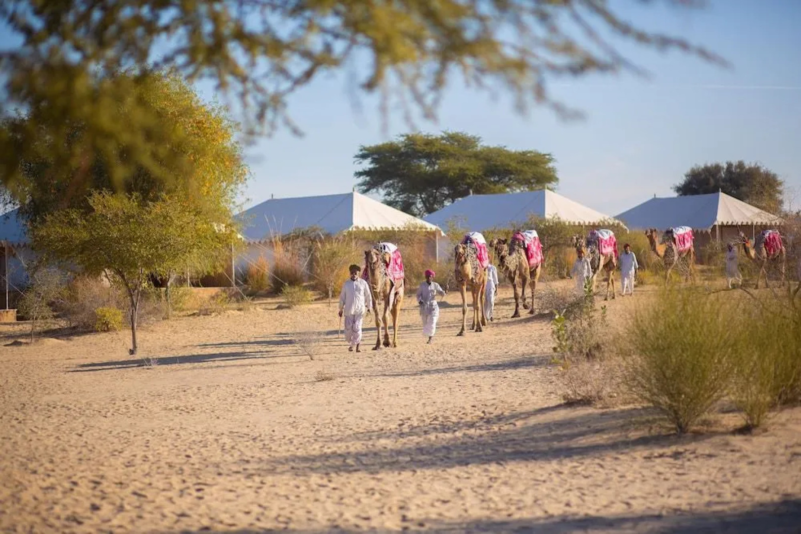 Manvār Shergarh, The Desert Resort