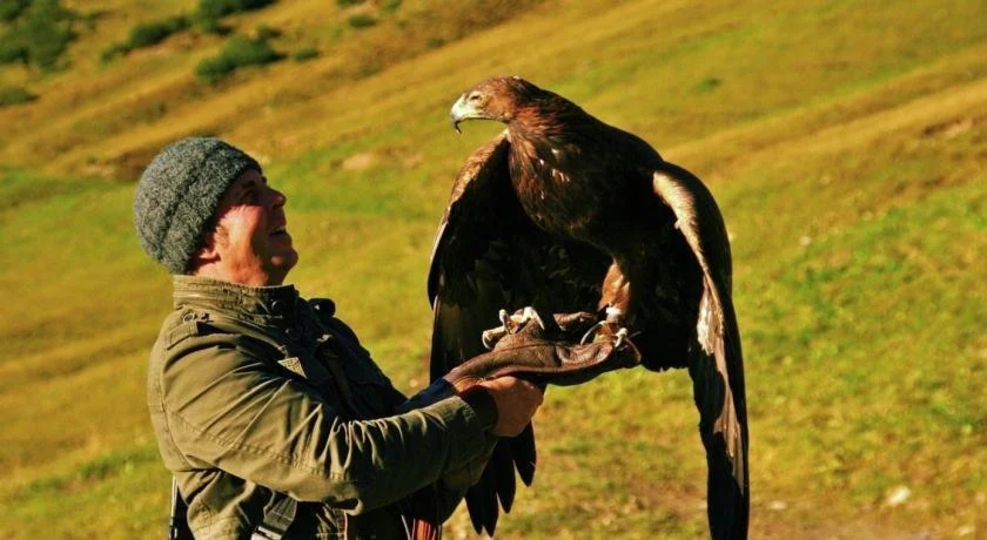 Phoenix Tree Business Hotel