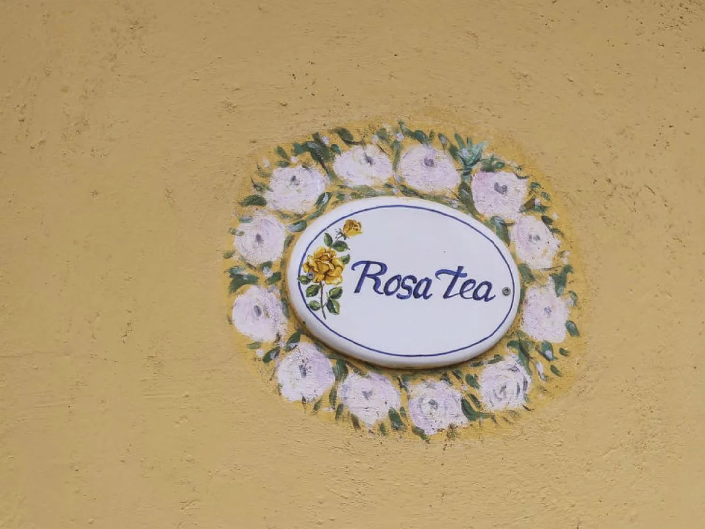 Rosa Tea (MTM163)
