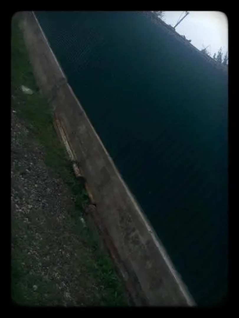 Guesthouse Kurortnaya 46