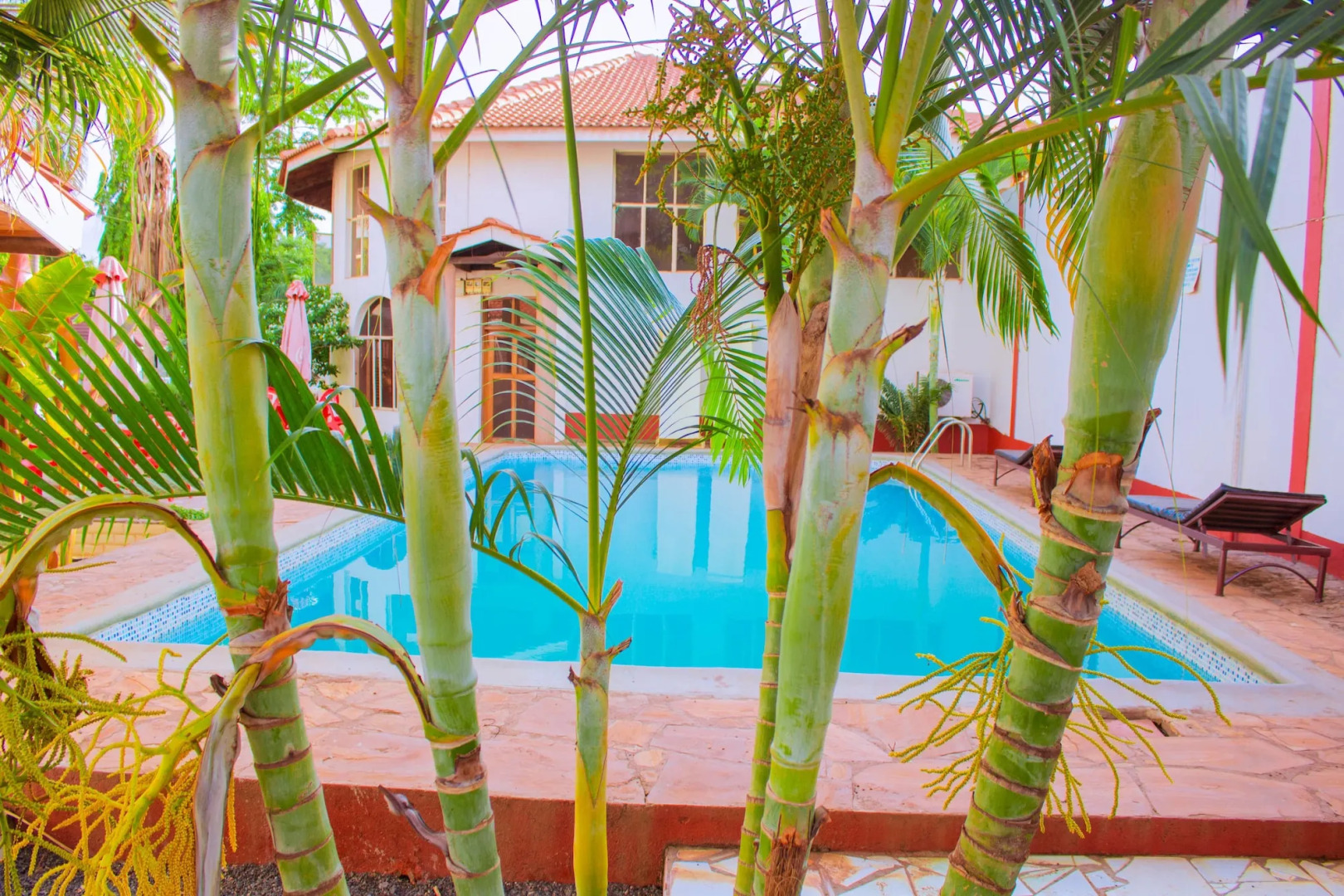 Kilimanjaro Crane Hotel