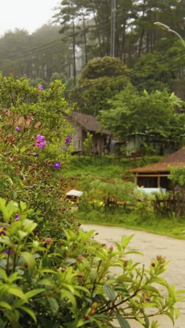 To Chim Ri Homestay Mang Đen