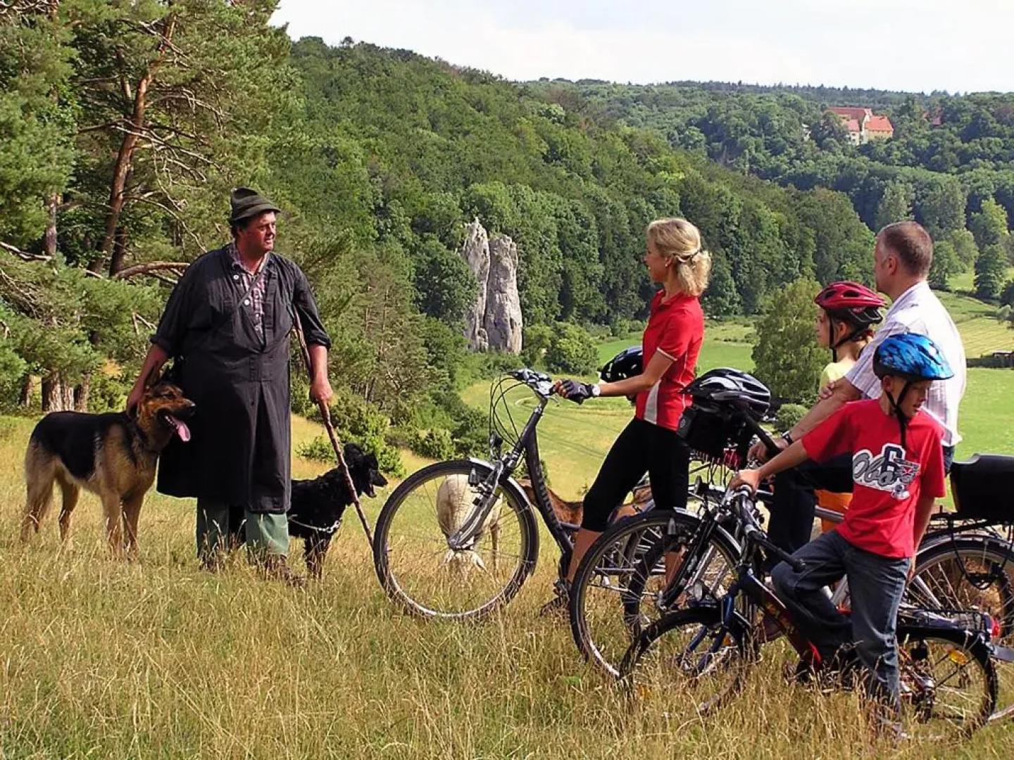 Hotel-Restaurant Gasthof zum Ochsen