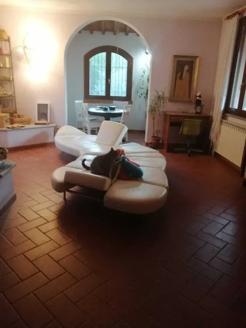 Il Barbagianni