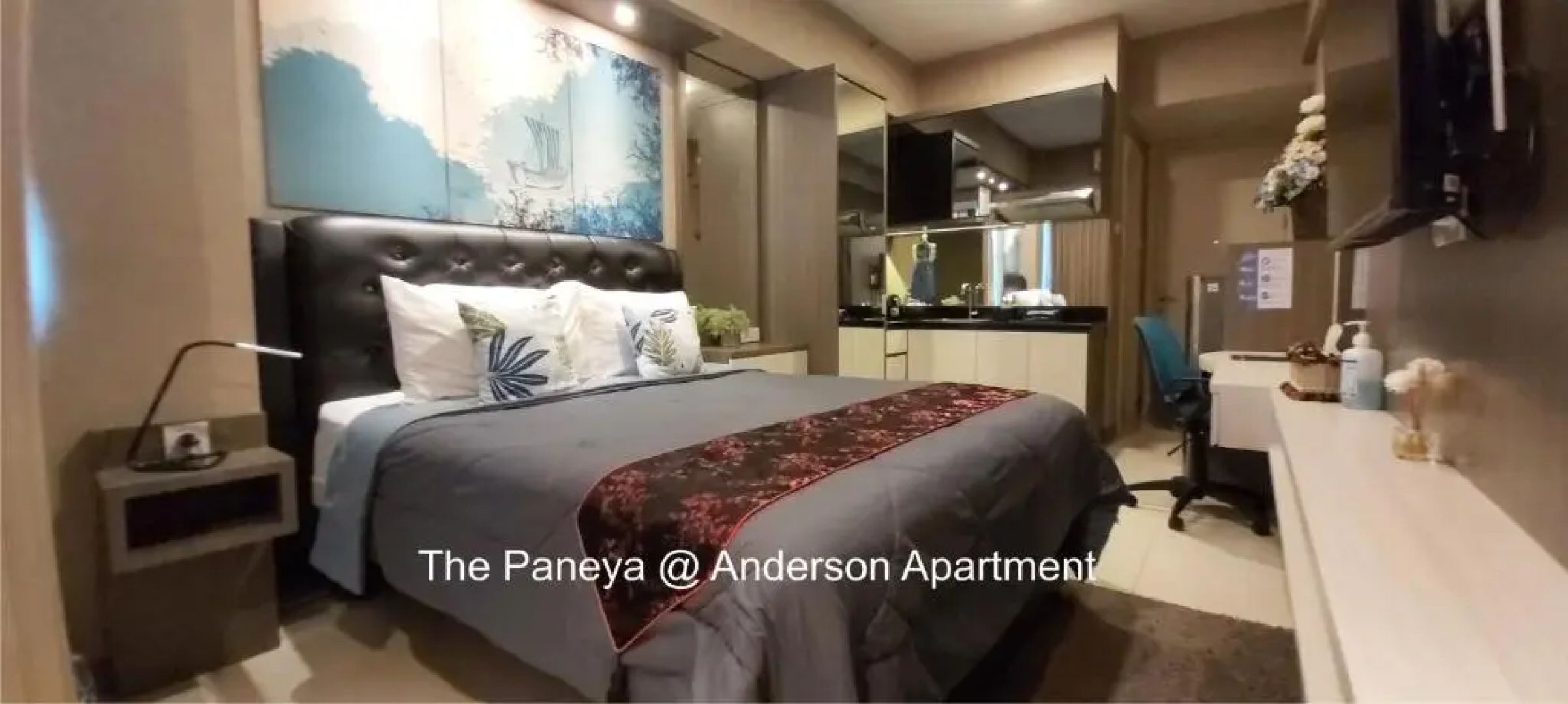 The Paneya @Anderson Apartment