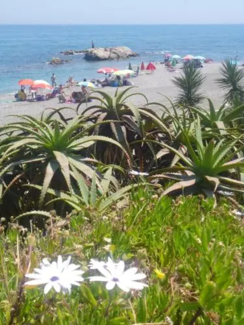 Residencial Duquesa apartemento 2049