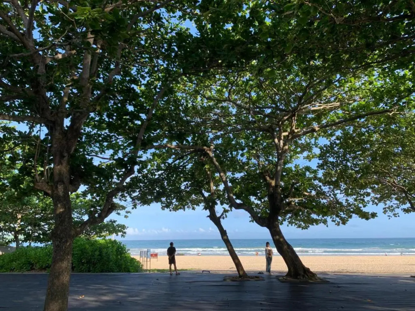 Marcia's Guest House