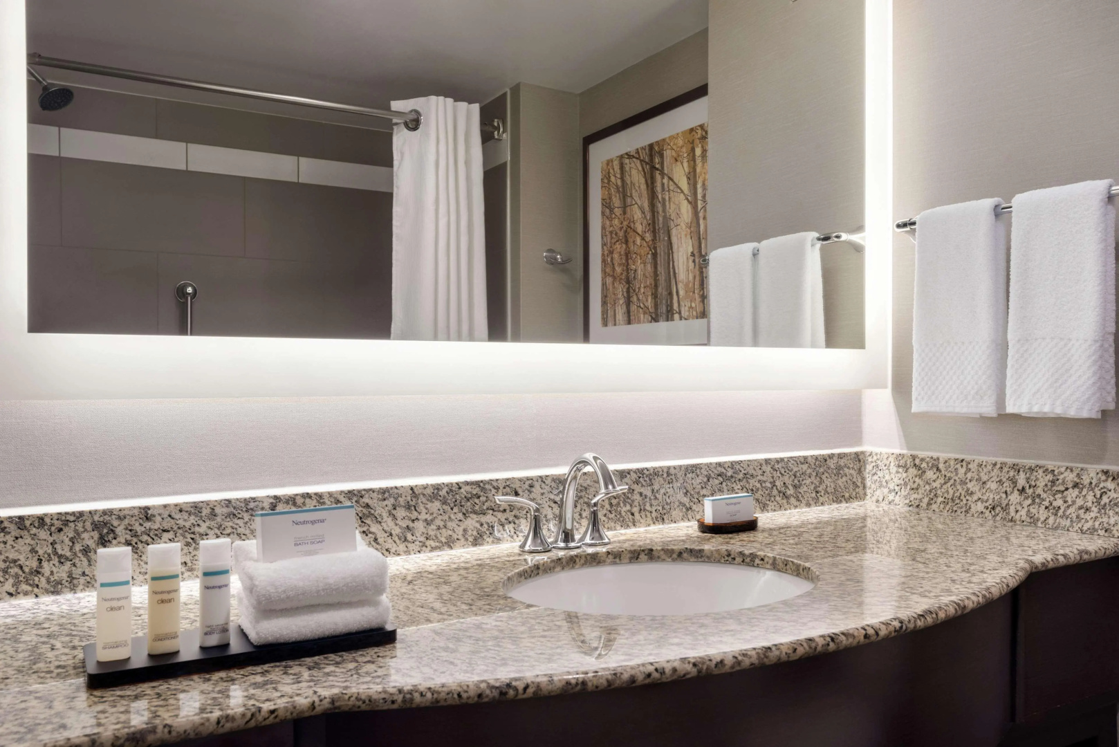 Embassy Suites by Hilton Atlanta Alpharetta