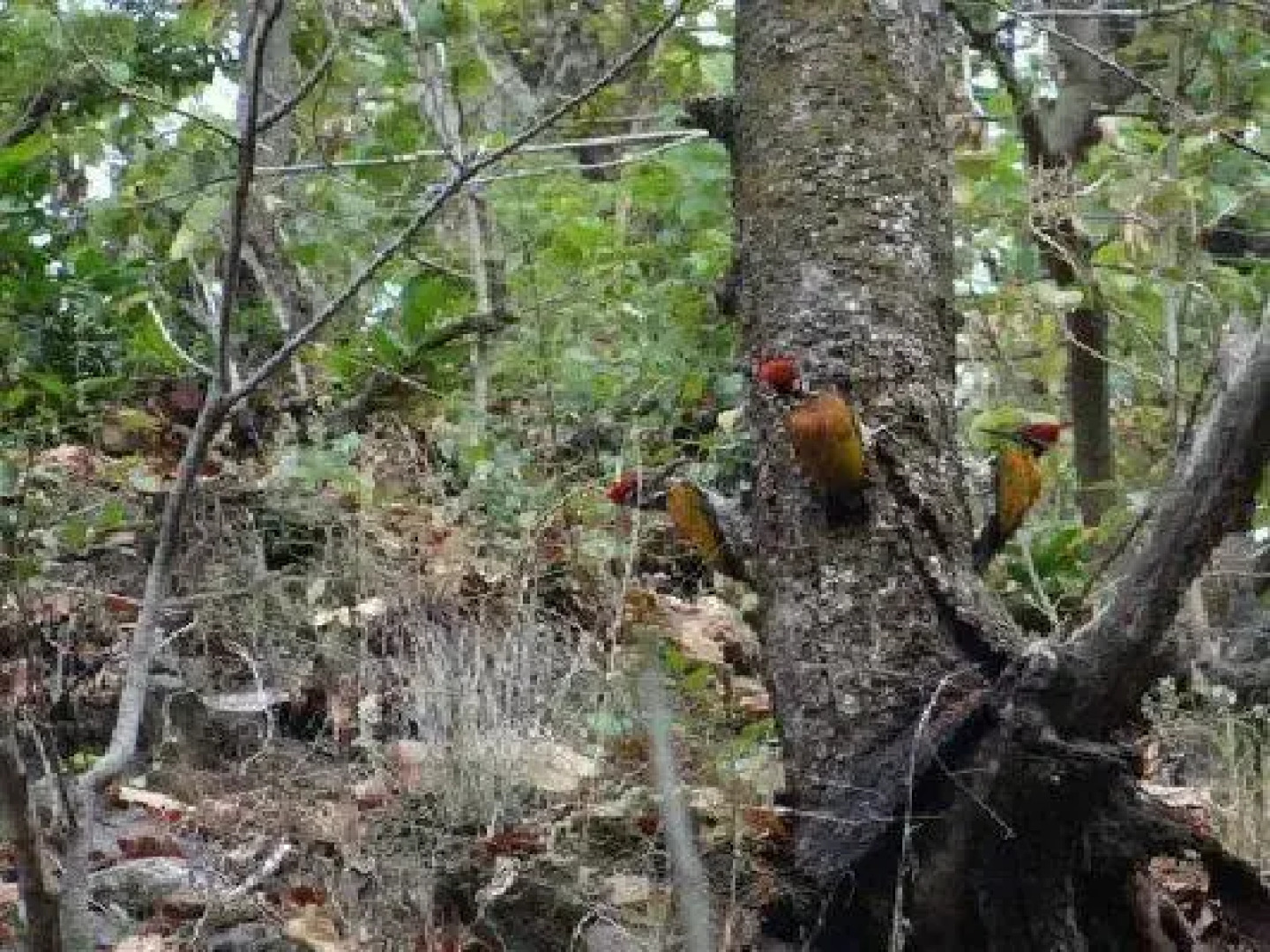 Le Osh Heritage Hotel