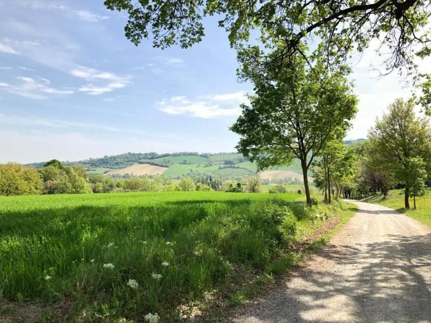 Agriturismo Molino Nuovo