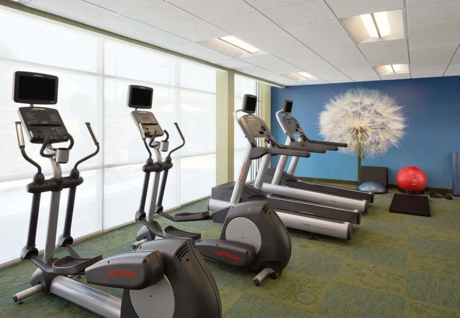 SpringHill Suites Tuscaloosa