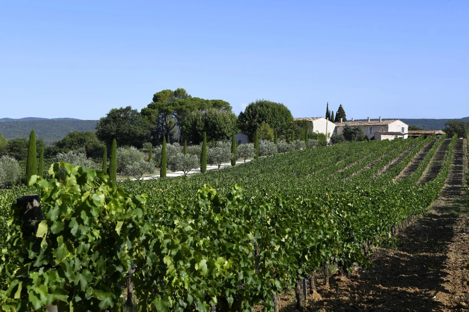 Domaine Perréal  Les Gîtes