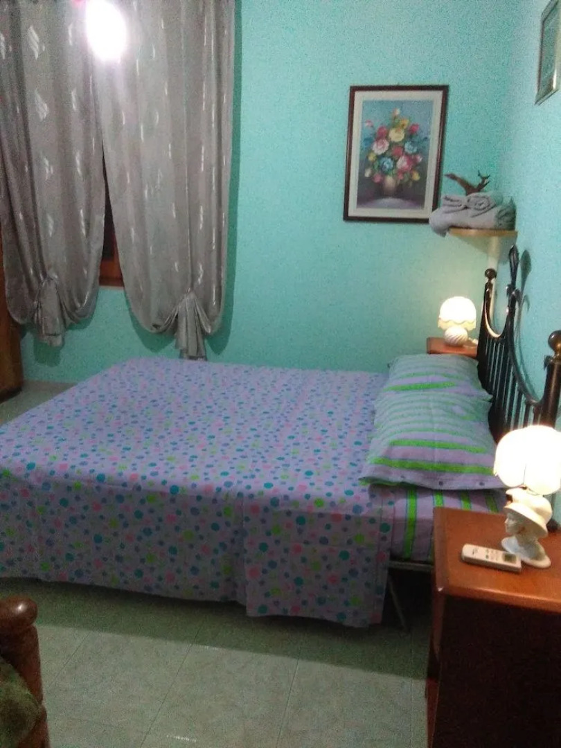 Free Zone Bed and Breakfast