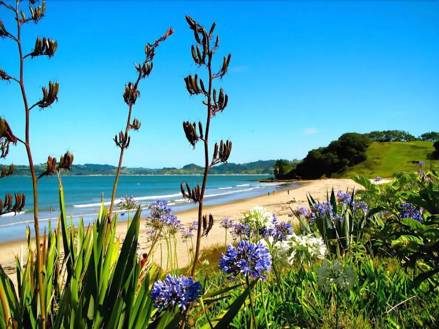 On the Beach Bed & Breakfast