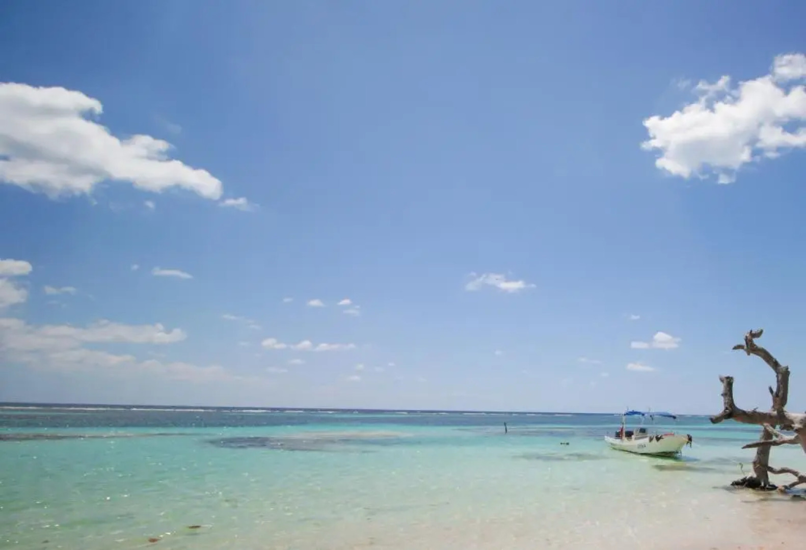 Apartments Tukano By 40 Cañones