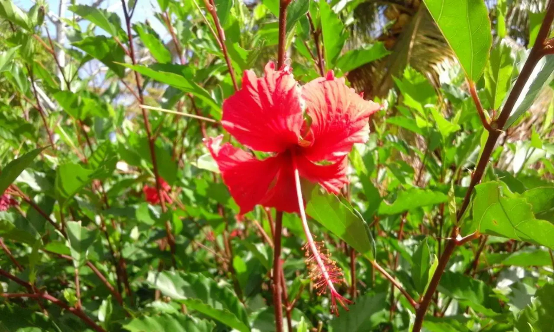 Résidence de la Baie