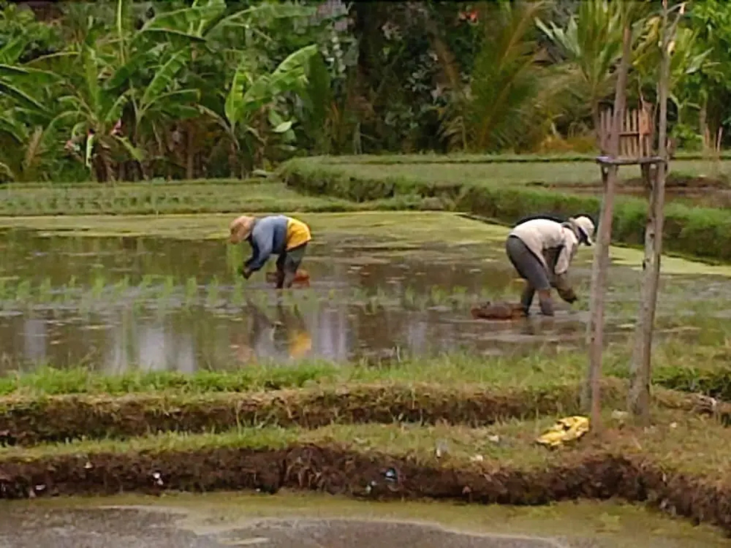 Nyoman Karsa Bungalow