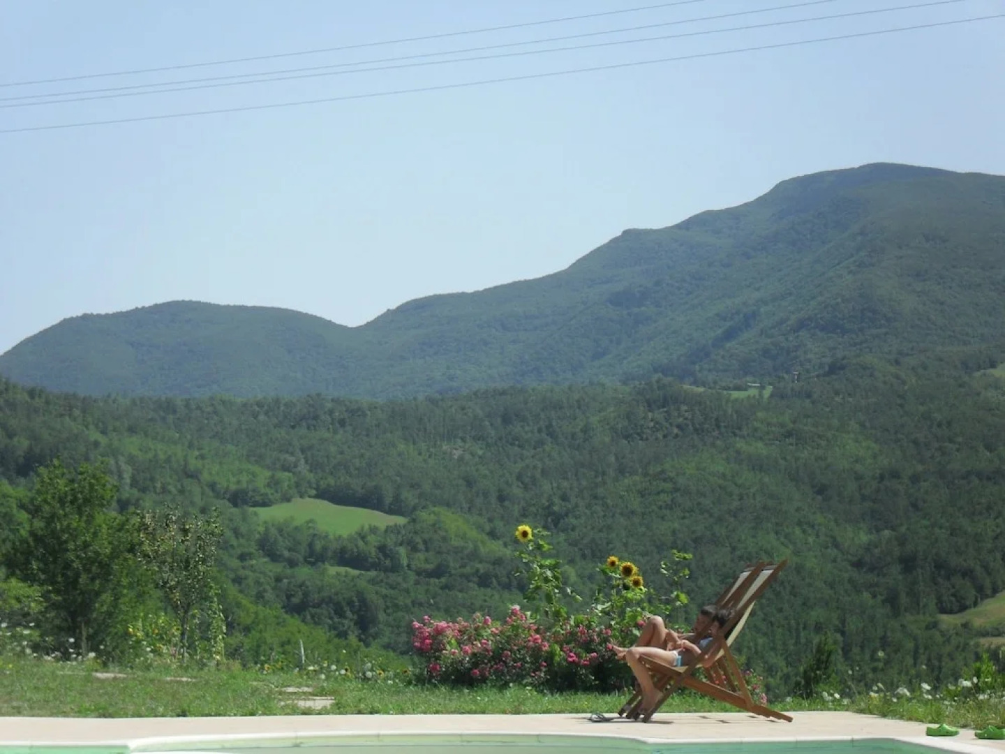 Serene Villa in Imola Amid the Forest