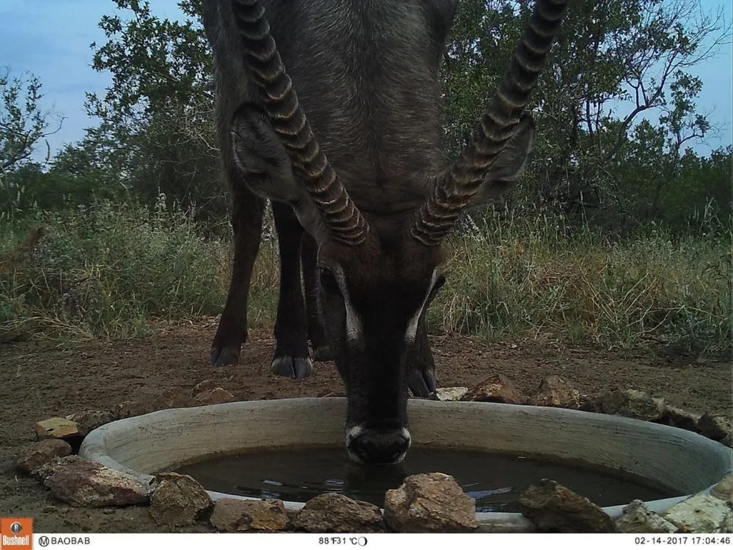 The Baobab Bush Lodge