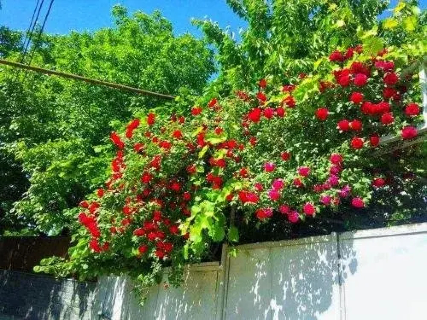 Saguramo Guest House