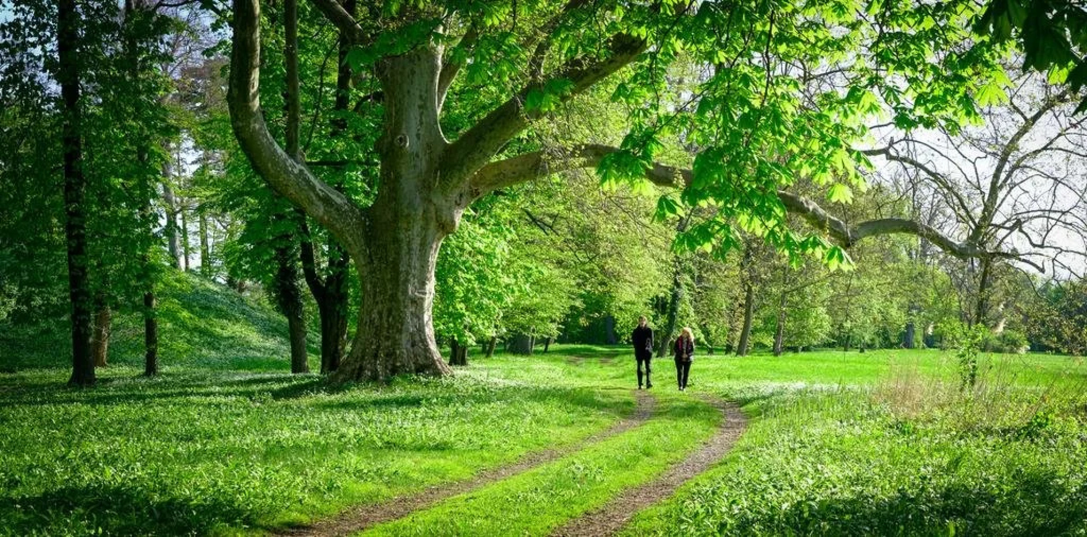 Schloss Schönau Jagdhaus