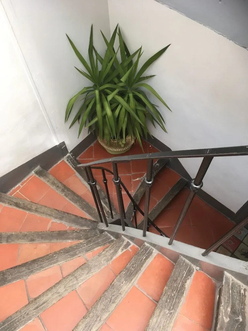Appartements Saint Sauveur à Perpignan