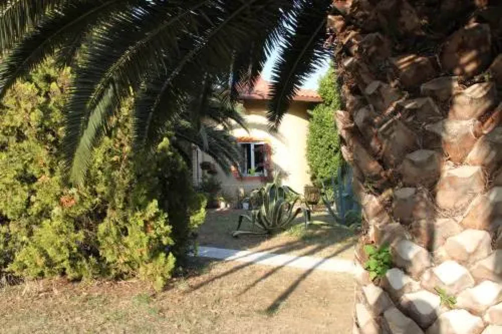 Country-House Pecora Nera