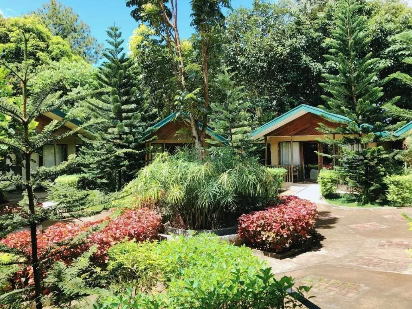 Ted's Bed and Breakfast