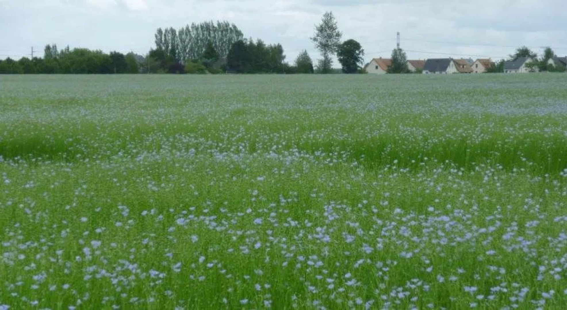 Chambres dHôtes La Bonne Famille
